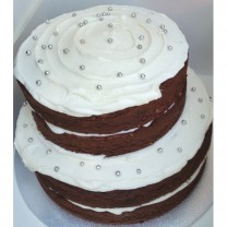 Naked Cake 2 Tiered  with Buttercream (D, V)
